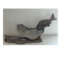 IMG_4108-2 — копия 3