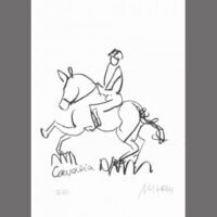 "Cavalia Horse Show"