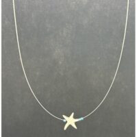 „Kleines Seesternchen"